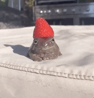 GIF